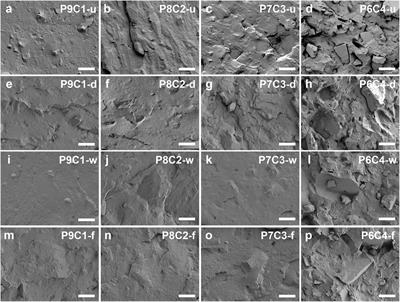 Gas-solid fluidization modification of calcium carbonate for high-performance poly (butylene adipate-co-terephthalate) (PBAT) composites